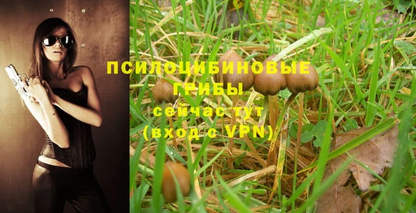 PSILOCYBIN Кулебаки