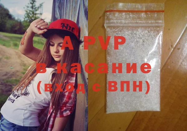 PSILOCYBIN Кулебаки