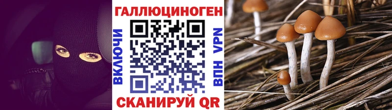 Псилоцибиновые грибы GOLDEN TEACHER сколько стоит shop формула Лянтор