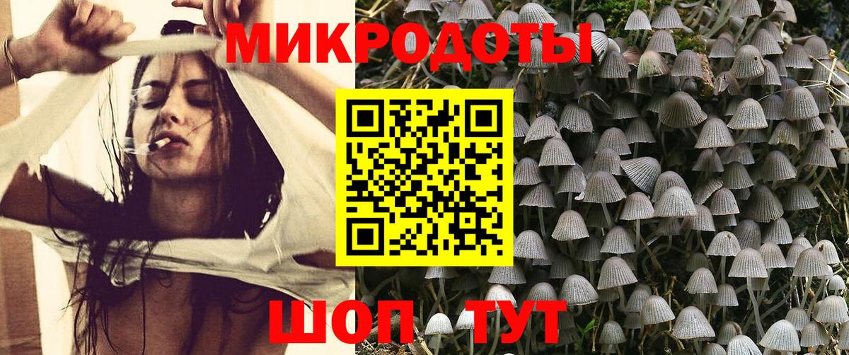 Псилоцибиновые грибы Psilocybe Лянтор